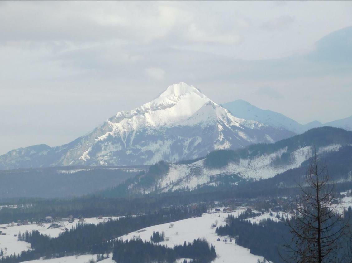 Zajazd Irys Zakopane Extérieur photo
